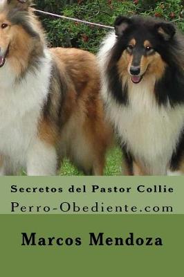 Book cover for Secretos del Pastor Collie