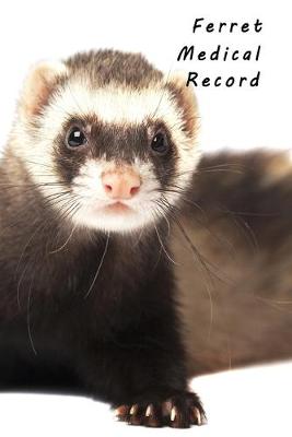 Book cover for Ferret Medical Record