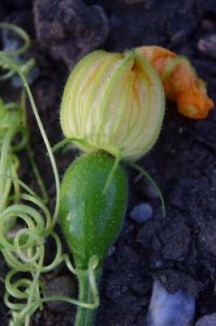 Cover of Zucchini Plant Blooming in Autumn Journal