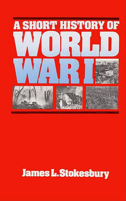 Book cover for A Short History of World War I