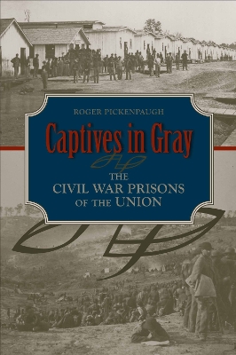 Book cover for Captives in Gray