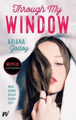 Book cover for Through My Window