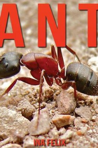 Cover of Ant