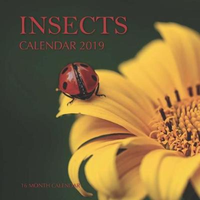 Book cover for Insects Calendar 2019