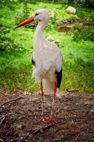 Cover of Stork Bird Journal