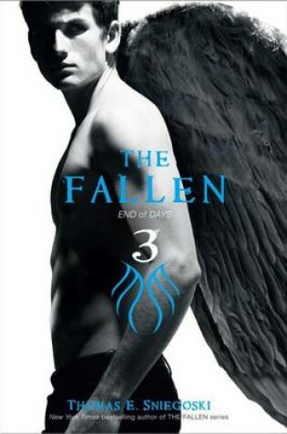 Cover of The Fallen 3