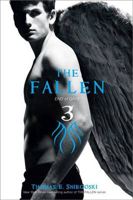 Cover of The Fallen 3