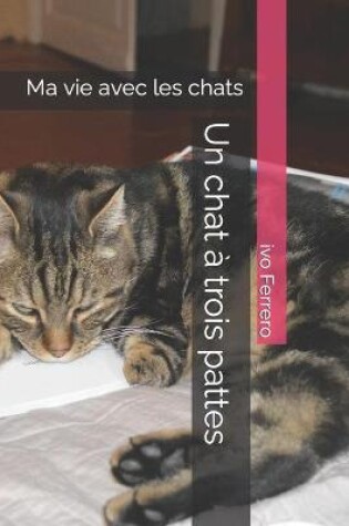 Cover of Un chat a trois pattes