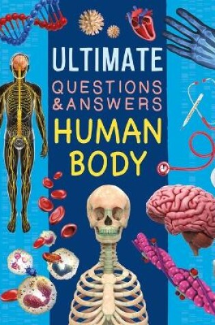 Cover of Ultimate Questions & Answers Human Body