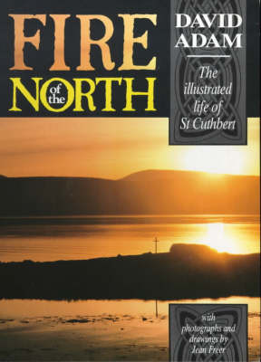 Book cover for Fire of the North