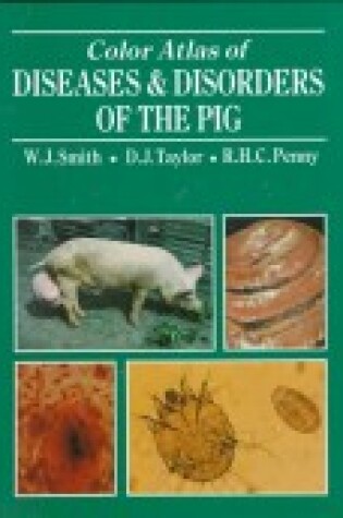 Cover of Color Atlas of Diseases and Disorders of the Pig