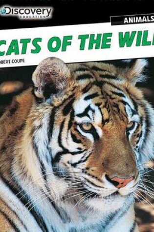 Cover of Cats of the Wild