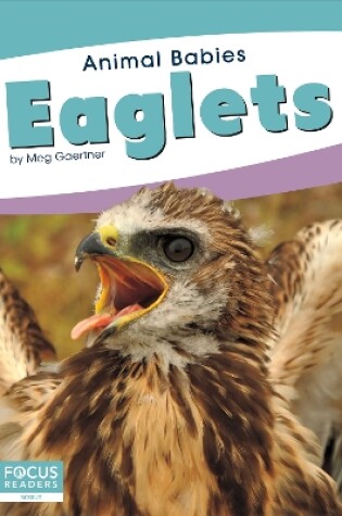 Cover of Animal Babies: Eaglets