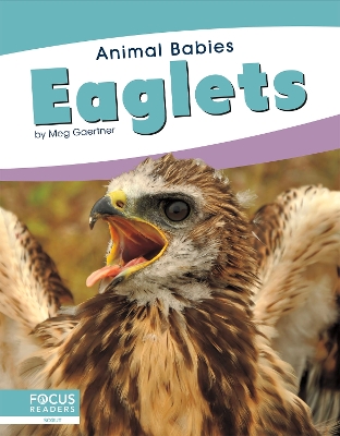 Book cover for Eaglets