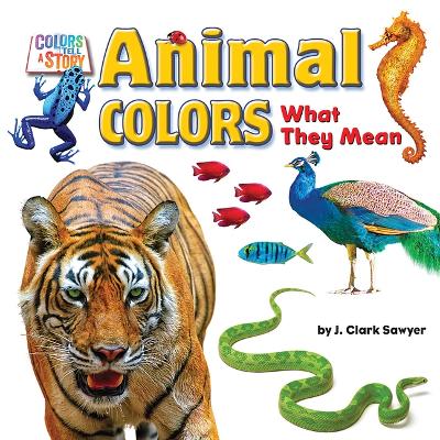 Cover of Animal Colors