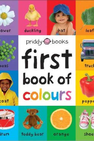 Cover of First 100 Book of Colours