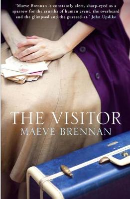 Book cover for The Visitor
