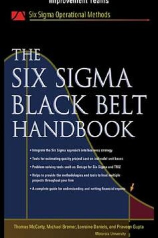 Cover of The Six SIGMA Black Belt Handbook, Chapter 7 - Introduction to Process Improvement Teams