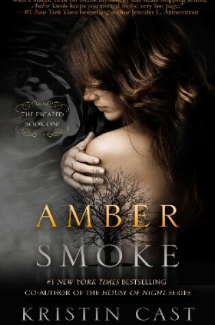 Cover of Amber Smoke