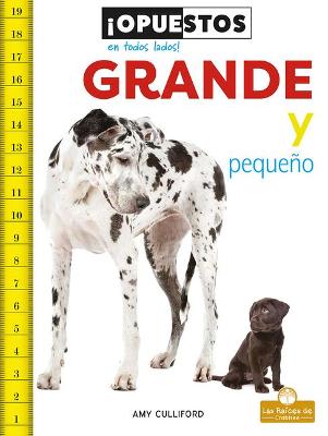 Book cover for Grande Y Pequeño (Big and Small)