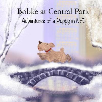 Cover of Bobke at Central Park