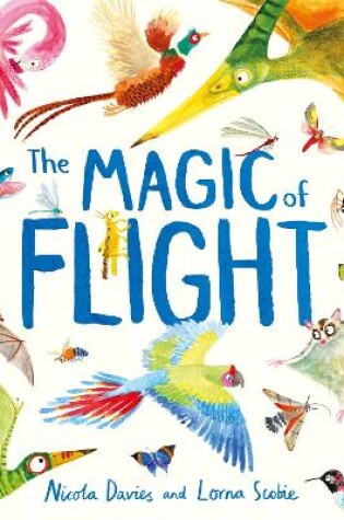 Cover of The Magic of Flight