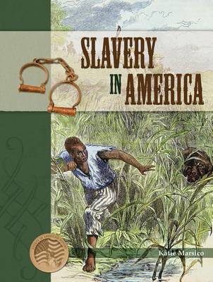 Book cover for Slavery in America