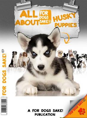 Book cover for All about Husky Puppies