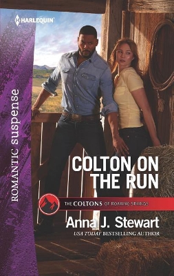 Book cover for Colton on the Run