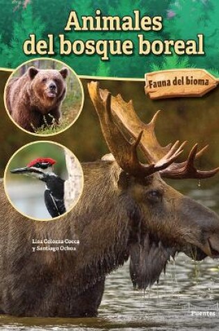 Cover of Animales del Bosque Boreal