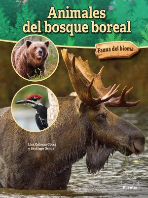 Cover of Animales del Bosque Boreal