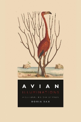 Book cover for Avian Illuminations