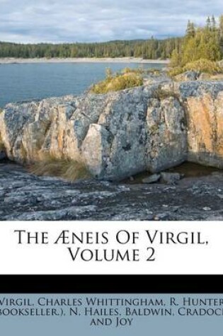 Cover of The Neis of Virgil, Volume 2