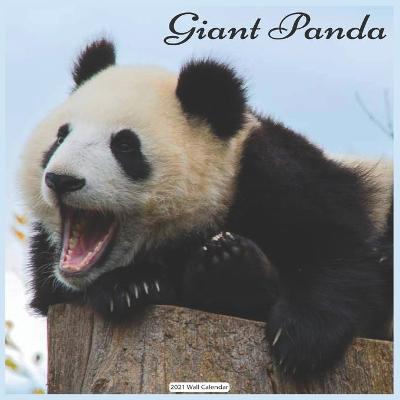 Book cover for Giant Panda 2021 Wall Calendar