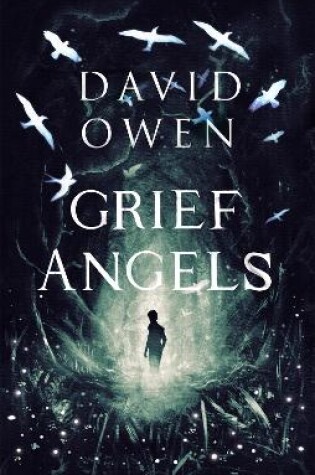 Cover of Grief Angels