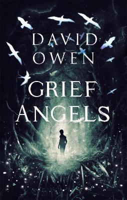 Book cover for Grief Angels
