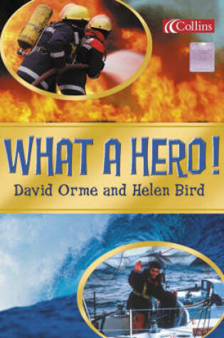 Cover of What a Hero!