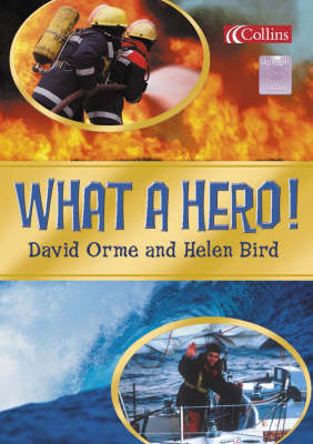 Cover of What a Hero!