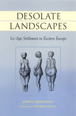 Cover of Desolate Landscapes