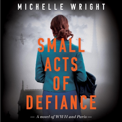 Book cover for Small Acts of Defiance