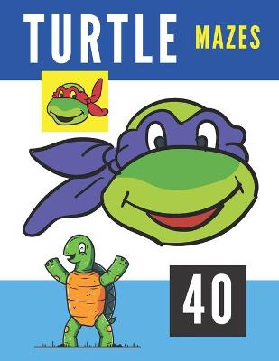 Book cover for Turtle Mazes