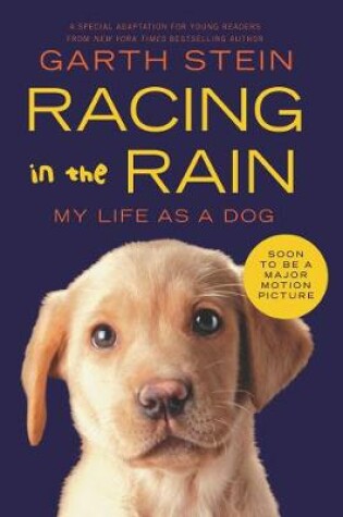 Cover of Racing in the Rain