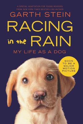 Book cover for Racing in the Rain