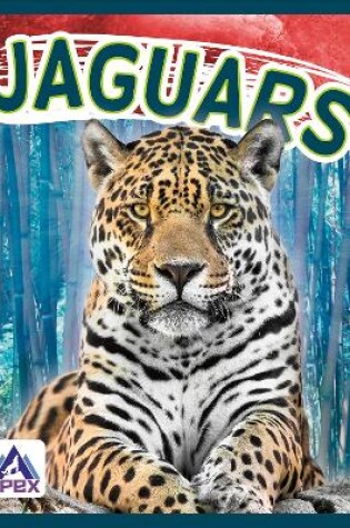 Cover of Jaguars