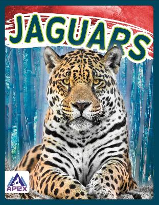 Book cover for Wild Cats: Jaguars