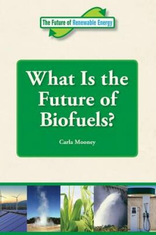 Cover of What Is the Future of Biofuels?