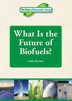 Book cover for What Is the Future of Biofuels?