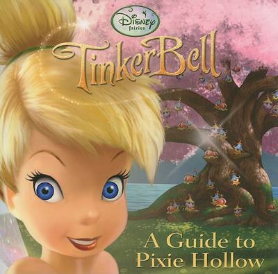 Book cover for A Guide to Pixie Hollow