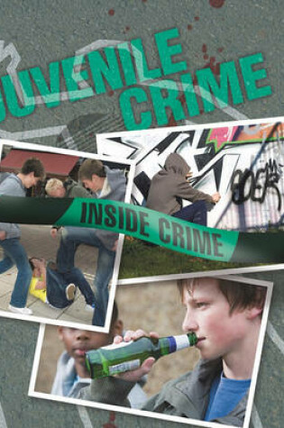 Cover of Juvenile Crime