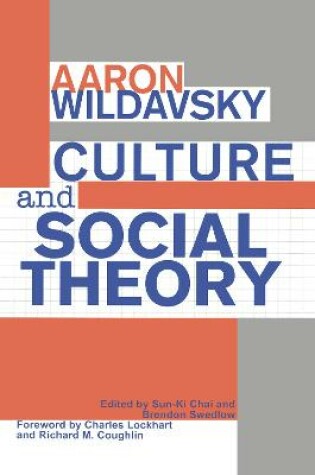 Cover of Culture and Social Theory